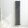 Трубчатый вертикальный радиатор Arbonia  3/3180/08 N12 3/4 RAL 9016 7016 Anthrazit Grey (боковое)